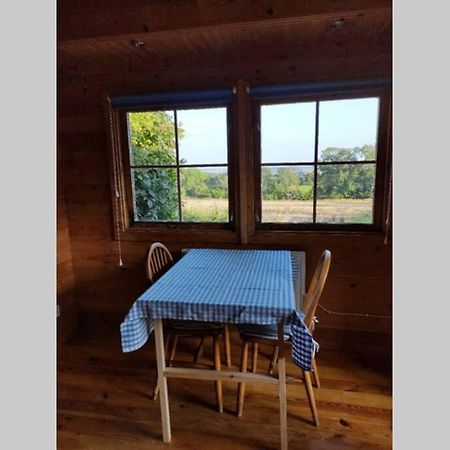 Self catering garden lodge Ludlow Buitenkant foto
